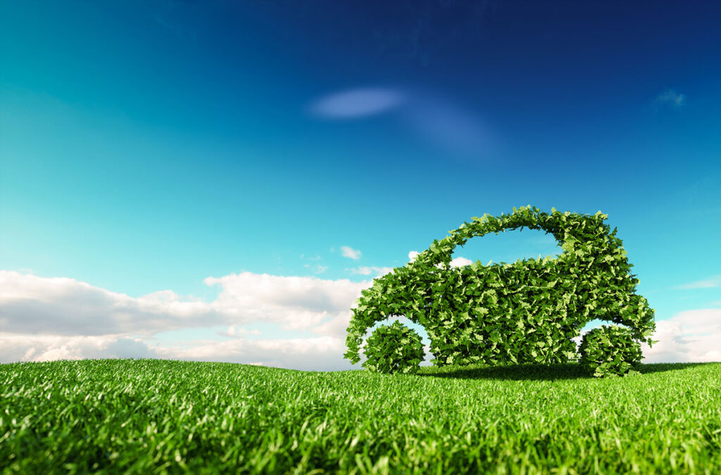 Image of car made of leaves